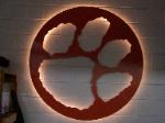 Cat paw print with lights.