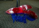 Metal fish art.