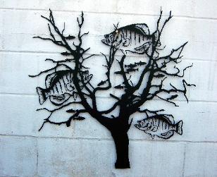 Crappie fishing silhouette.