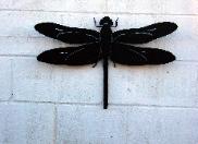 Dragon Fly silhouette